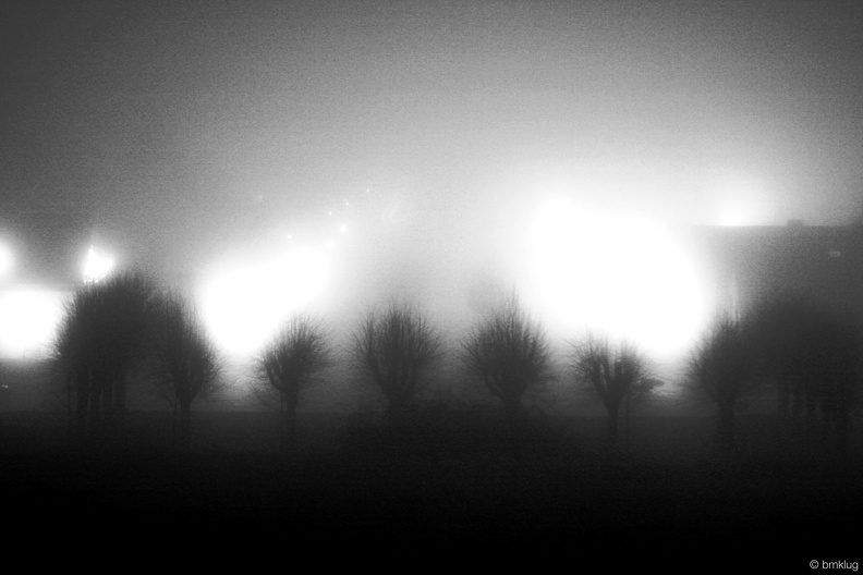 23. Mittelallee Nebel SW.jpg