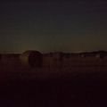 in hay on night