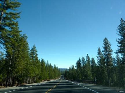 Yosemite 2010-1