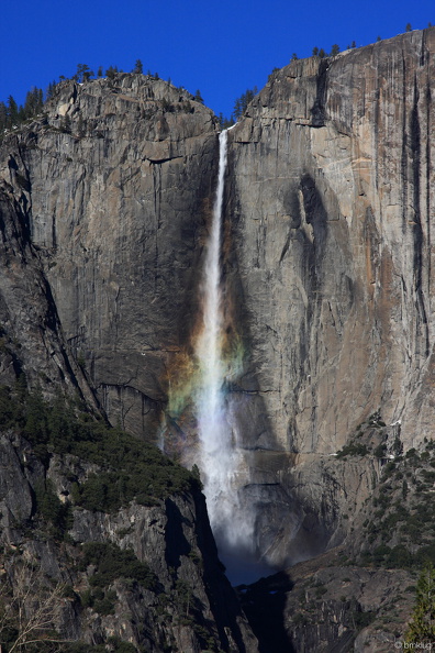 Yosemite 2010-8.jpg