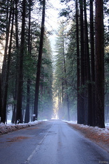 Yosemite 2010-10