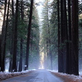 Yosemite 2010-10