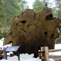Sequoia 2010-2