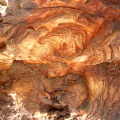 Sequoia 2010-5