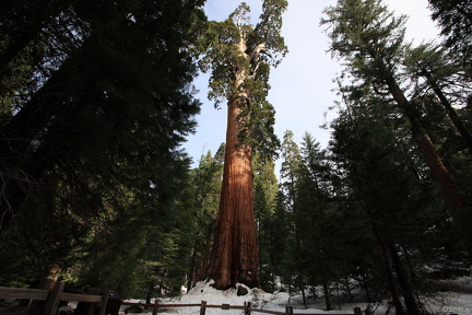 Sequoia 2010-10