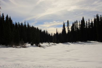 Sequoia 2010-12